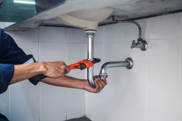 Best Plumbing Inspection Services  in Kalifornsky, AK